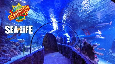  Adventure Aquarium: ค้นพบความลึกลับของโลกใต้น้ำ!